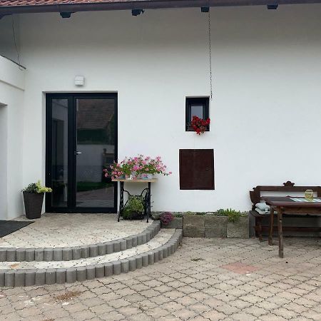 Tolarova Apartman Pardubice Bagian luar foto